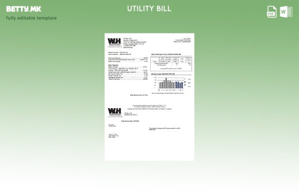 Модерен стил на САД Минесота Рајт Хенепин шаблон за комунални сметки